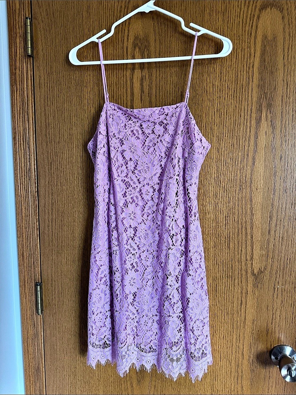 francesca'Small Lace Mini Dress in Purple Size Small NWT